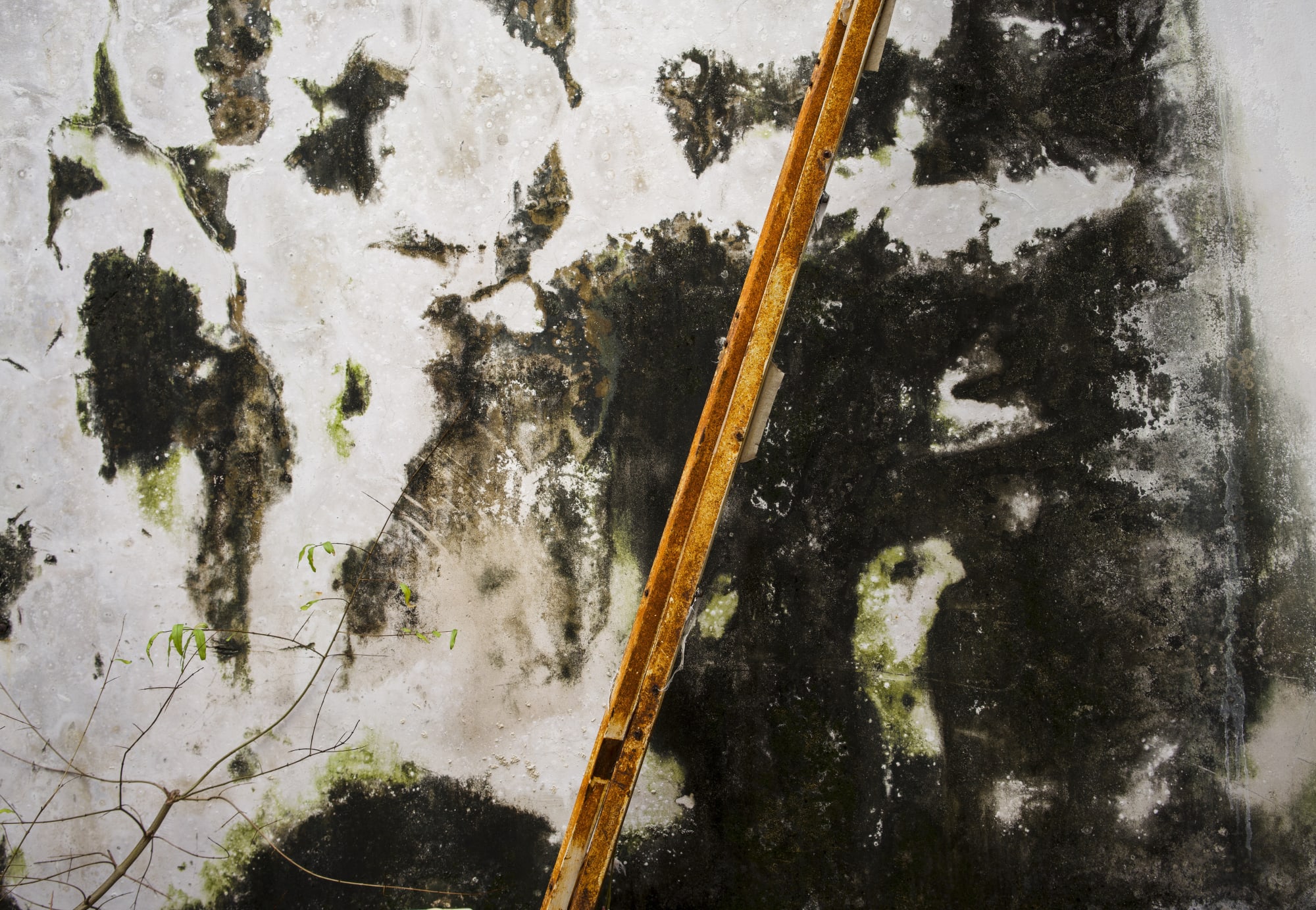 Penang, Malaysia, 2019