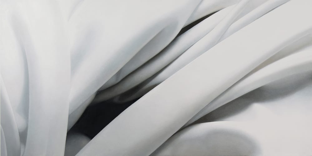 Mere 2011 oil on canvas 91.4 x 182.8 cm