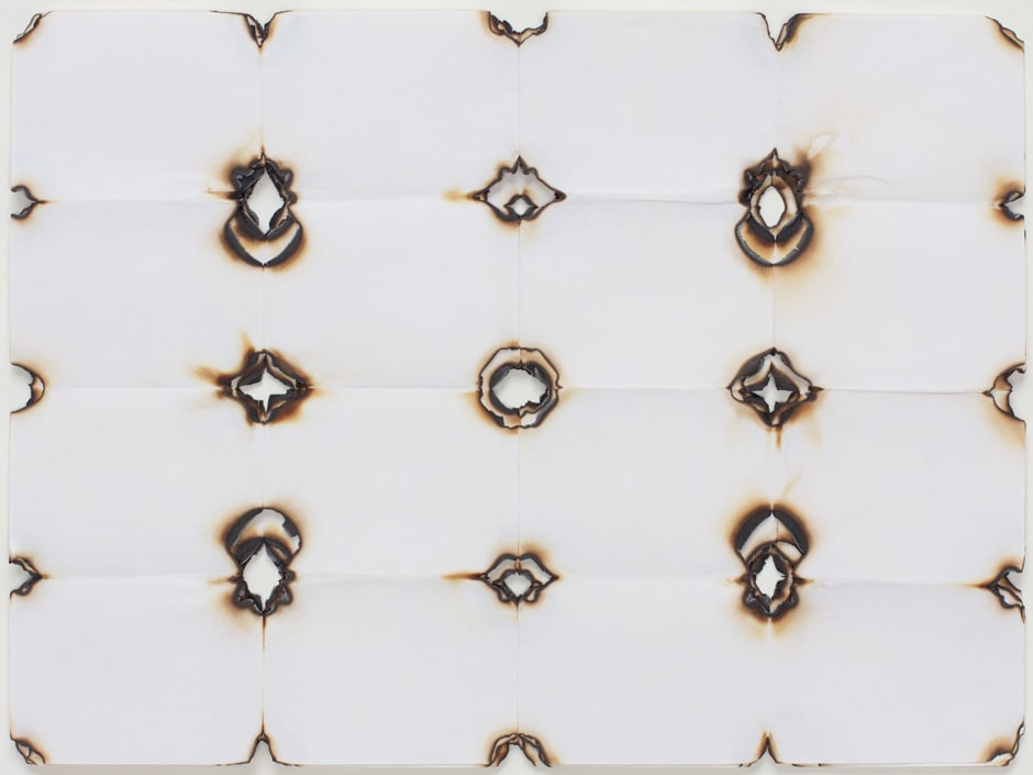 Hot Poker Cornelia Parker 2011 10 x 13.5ft billboard installation