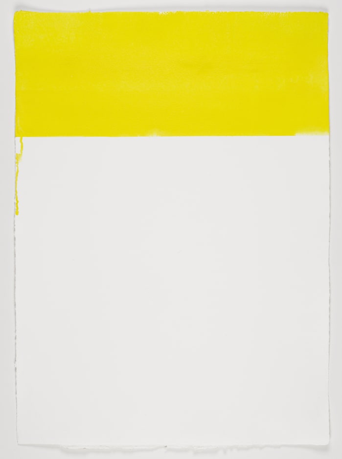 Untitled 2011 watercolour on paper 79 x 57 cm (paper size)