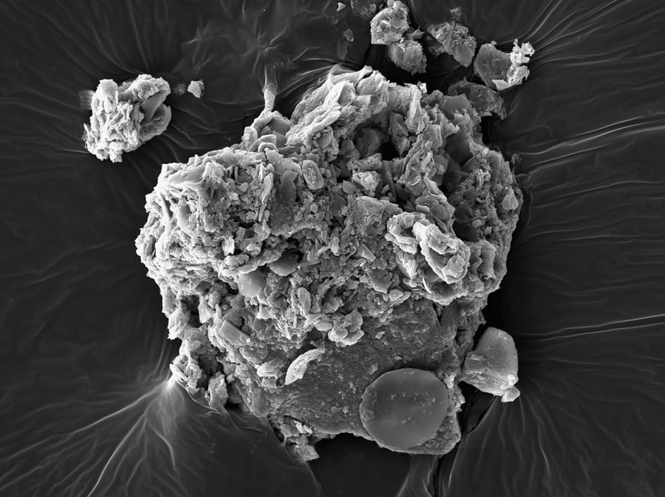 Billboard for Edinburgh: Anya Gallaccio