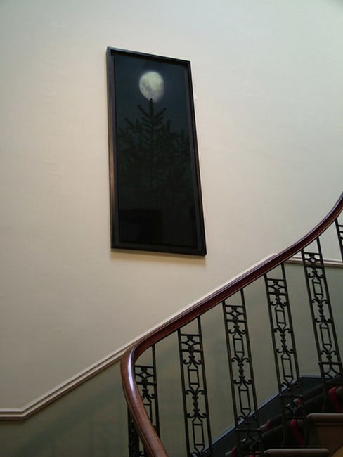 Susan Derges Full Moon - Fir 2003 cameraless dye destruction print, series of 5, each unique