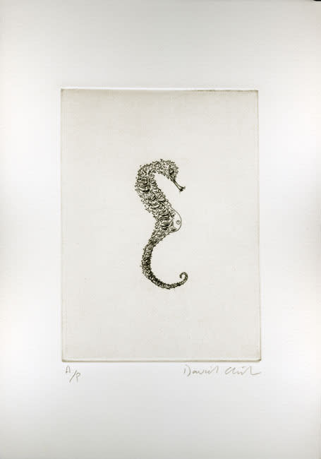 Tempest of Stars (seahorse) 2002 etching, edition of 15 plus 1 AP 17.5 x 12.5 cm paper size &pound;380 +vat framed (&pound;2,600 +vat framed suite of 7 etchings)