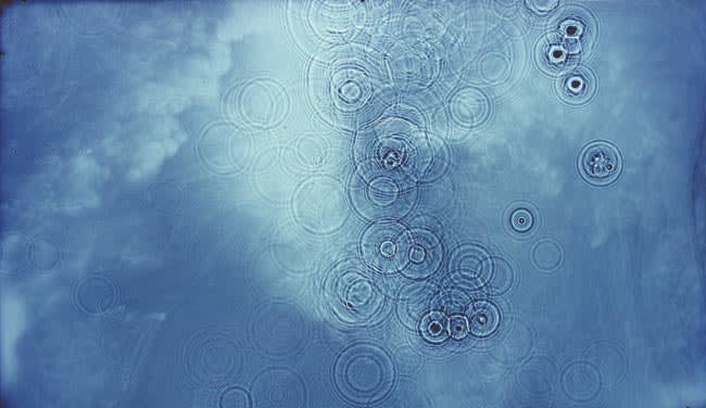 Rain 2003 unique photogram on Cibachrome paper 102.8 x 172.7cm (framed)