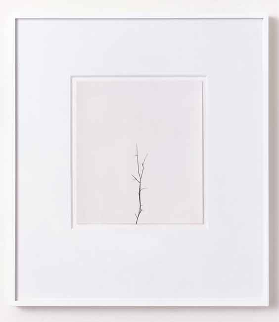 Winter Drawing 5Vs5 27 December 2005 2005 black masking tape, watercolour, paper 20.2 x 20cm paper size