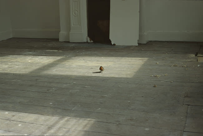 For They Know Not What They Do 2007 pair of R-type photographs, edition of 5 39 x 50.8 cm (image size)