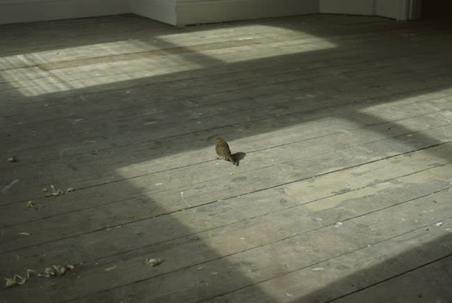 For They Know Not What They Do 2007 pair of R-type photographs, edition of 5 39 x 50.8 cm (image size)