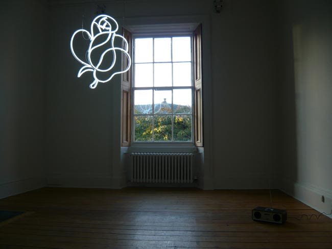 Untitled (white rose) with digital radio tuned to the World Service