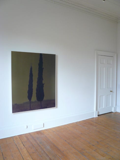 Cypress Mark #02 2005 C-Type Print 150 x 120 cm