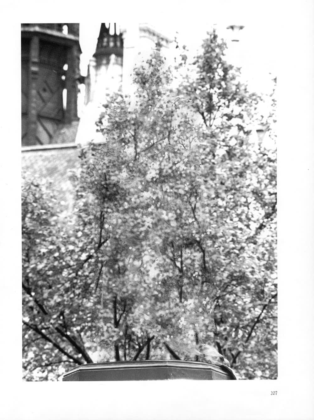 Untitled 2011 partially erased book page 22 x 29 cm