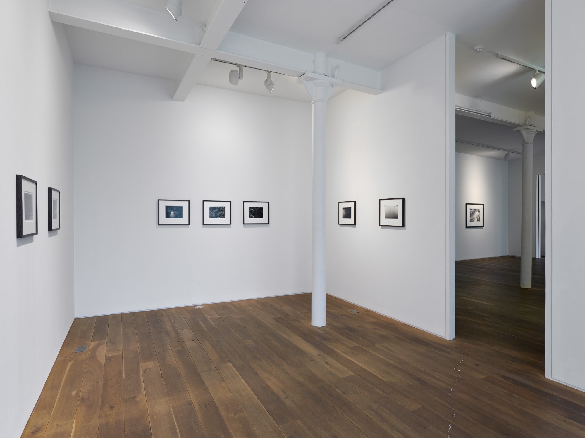 Installation view, Thomas Joshua Cooper - Scattered Waters: Sources Streams Rivers, Ingleby, Edinburgh, 11 October - 29 November 2014.