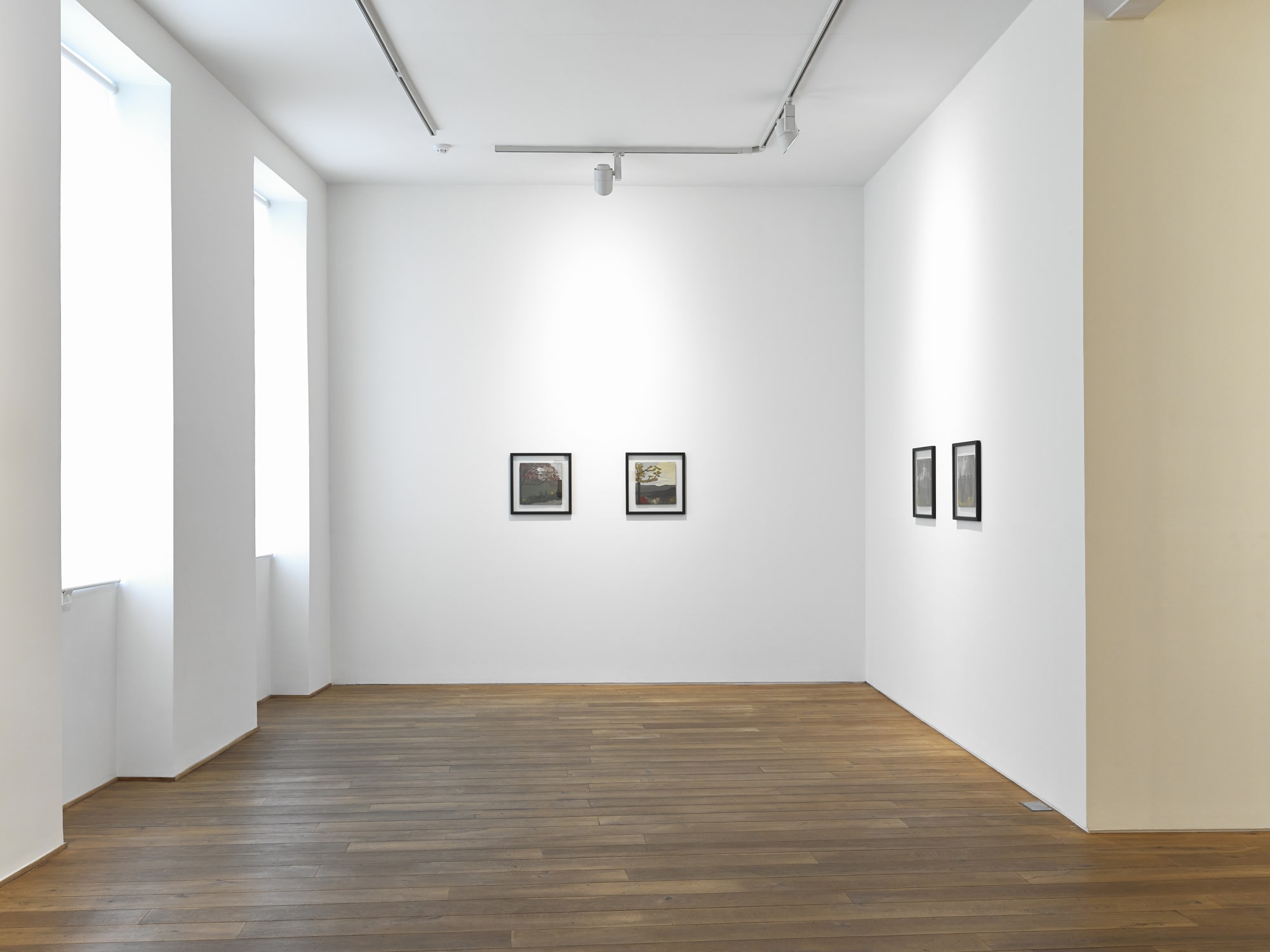 Installation view, Frank Walter, Ingleby, Edinburgh, 28 March - 23 May 2015.