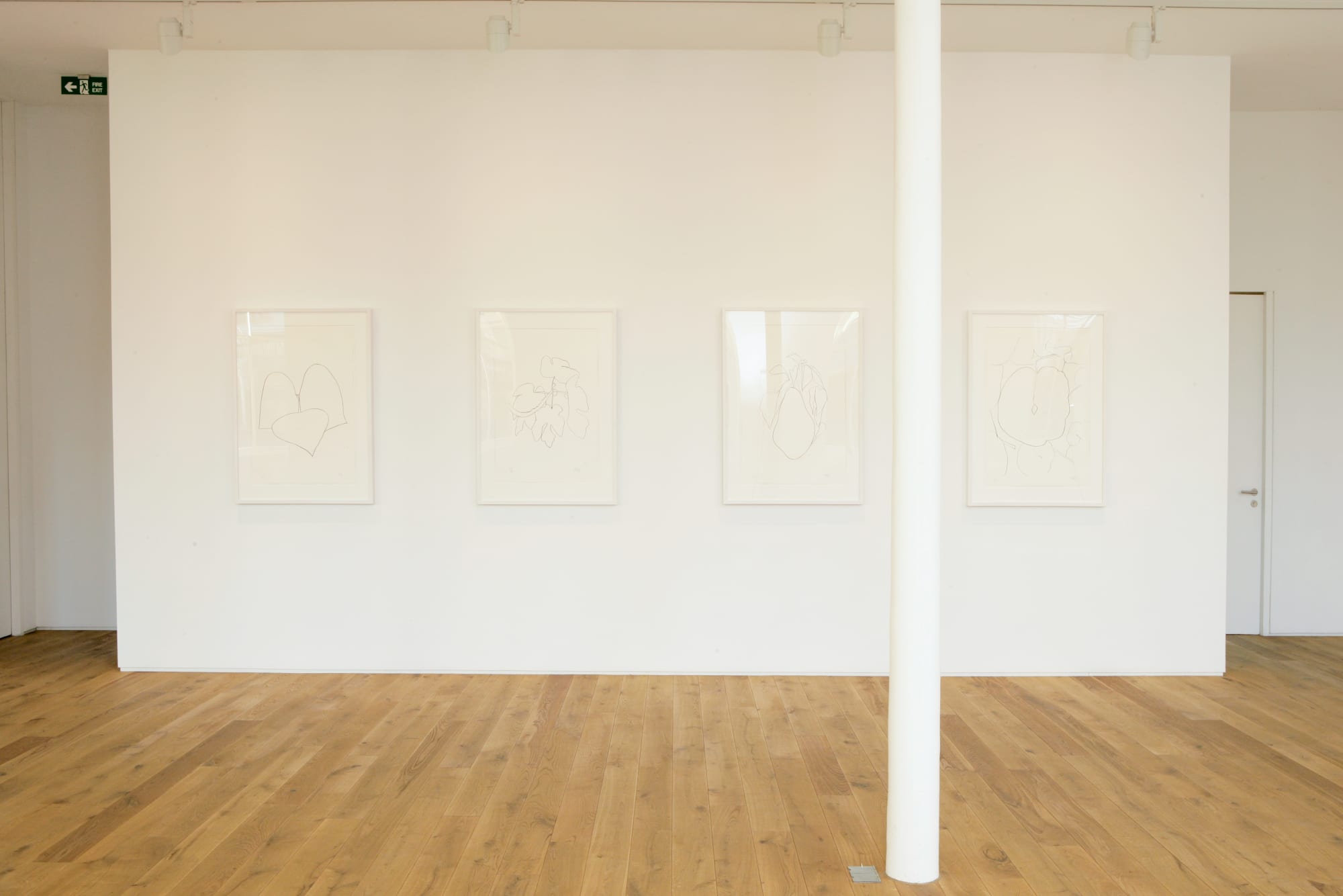 Installation view, Ellsworth Kelly: Plant Lithographs from the Artist's Collection, Ingleby, Edinburgh, 5 December 2008 - 7 February 2009.