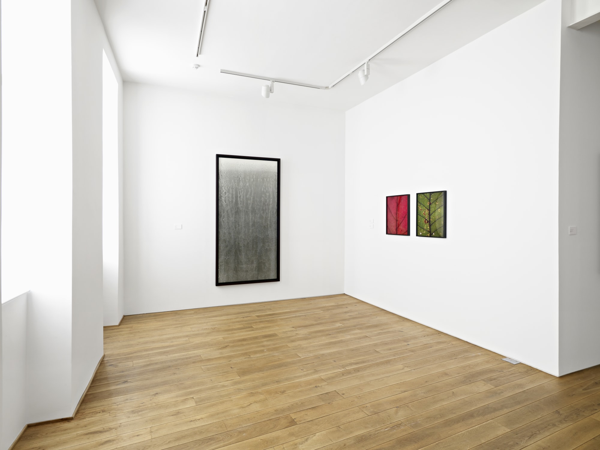 Installation view, A Little Bit of Magic Realised, Ingleby, Edinburgh, 24 November 2010 - 29 January 2011.