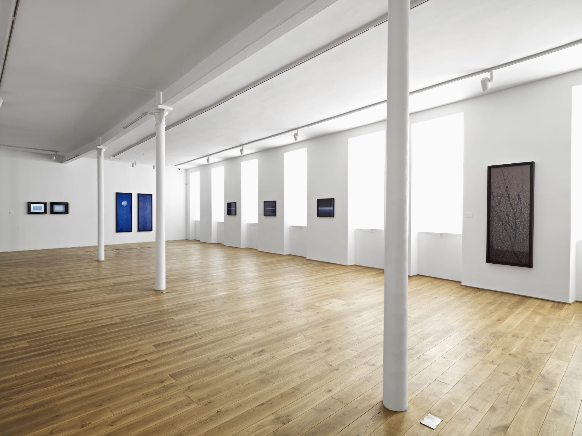 Installation view, A Little Bit of Magic Realised, Ingleby, Edinburgh, 24 November 2010 - 29 January 2011.