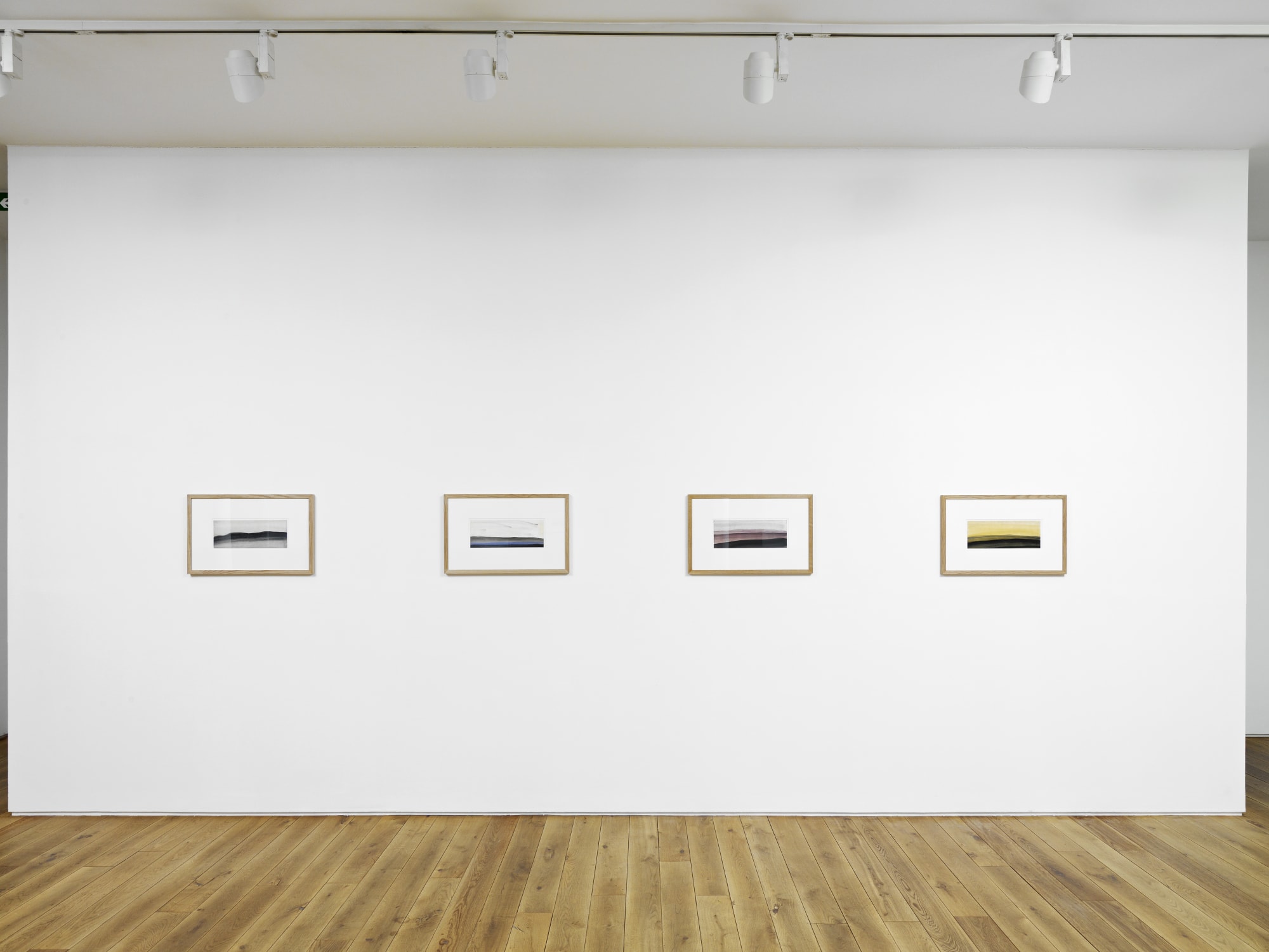 Installation view, Craig Murray-Orr, Ingleby, Edinburgh, 10 February - 26 March 2011.
