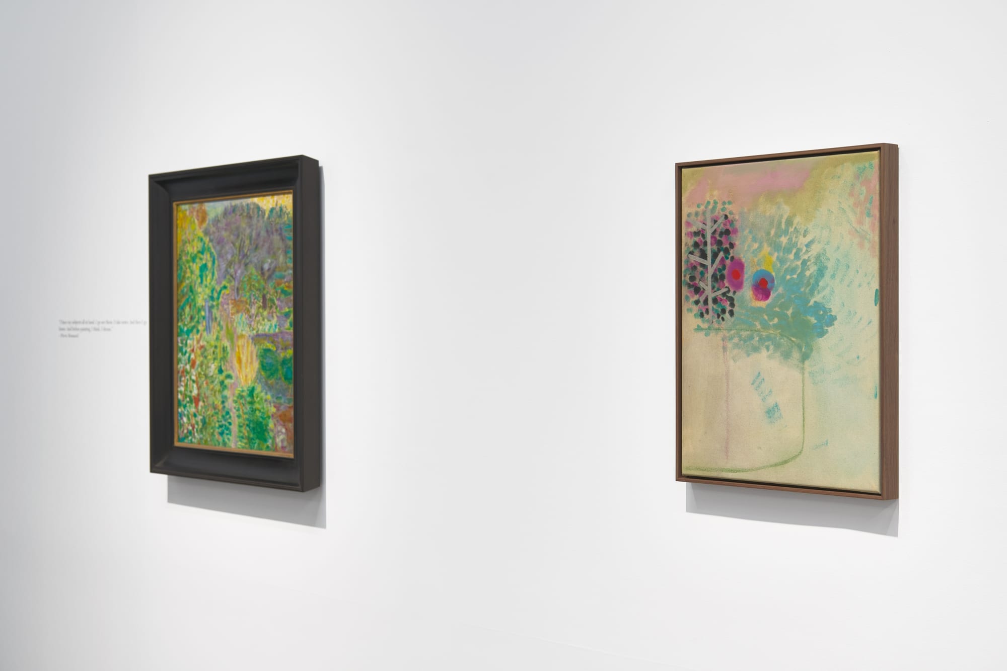 Wings of a Butterfly