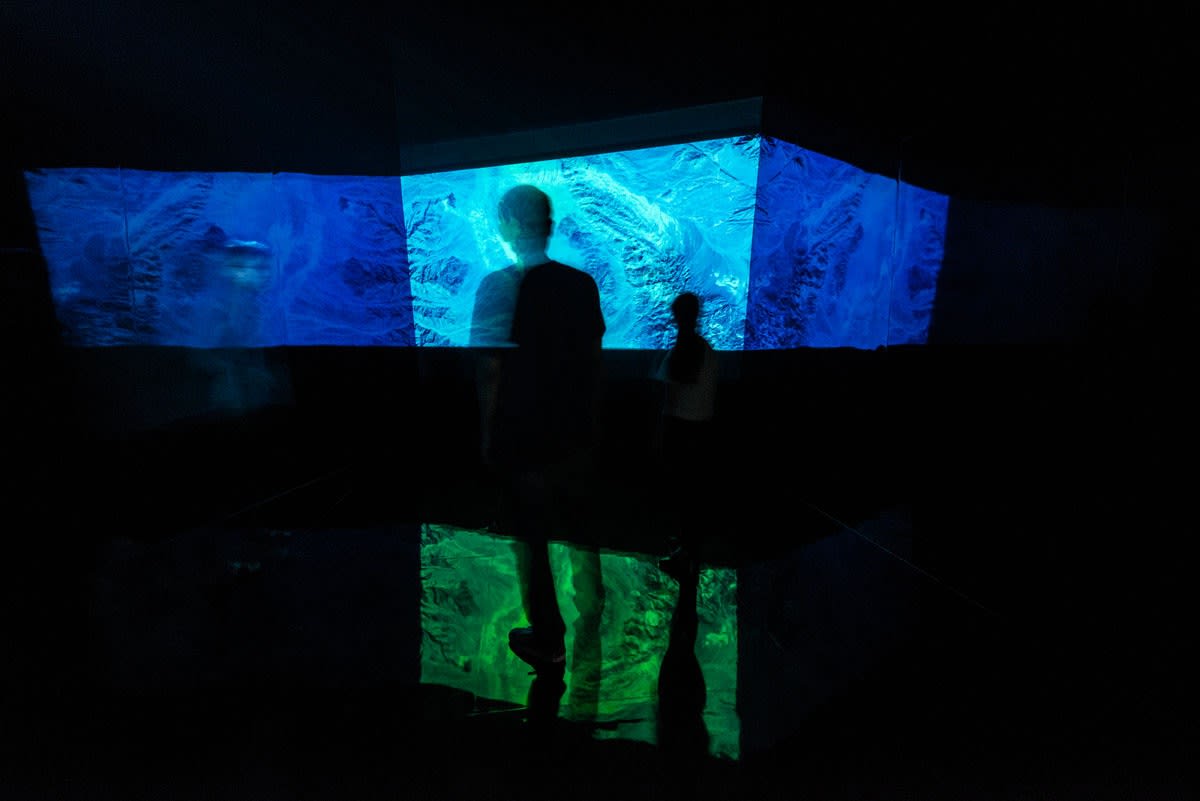 Zheng Chongbin 郑重宾, Chimeric Landscape 运行中的异化之景, 2015