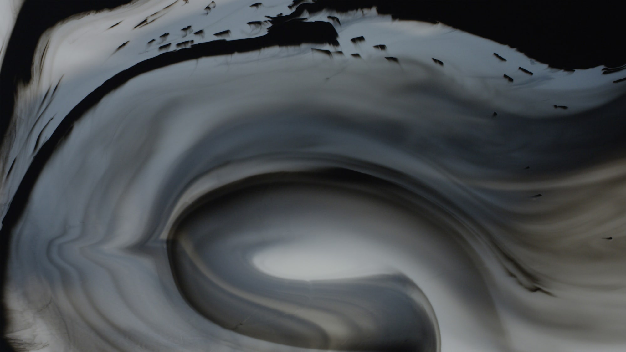 Cindy Ng 吴少英, Sea of Flowers 花海, 2017