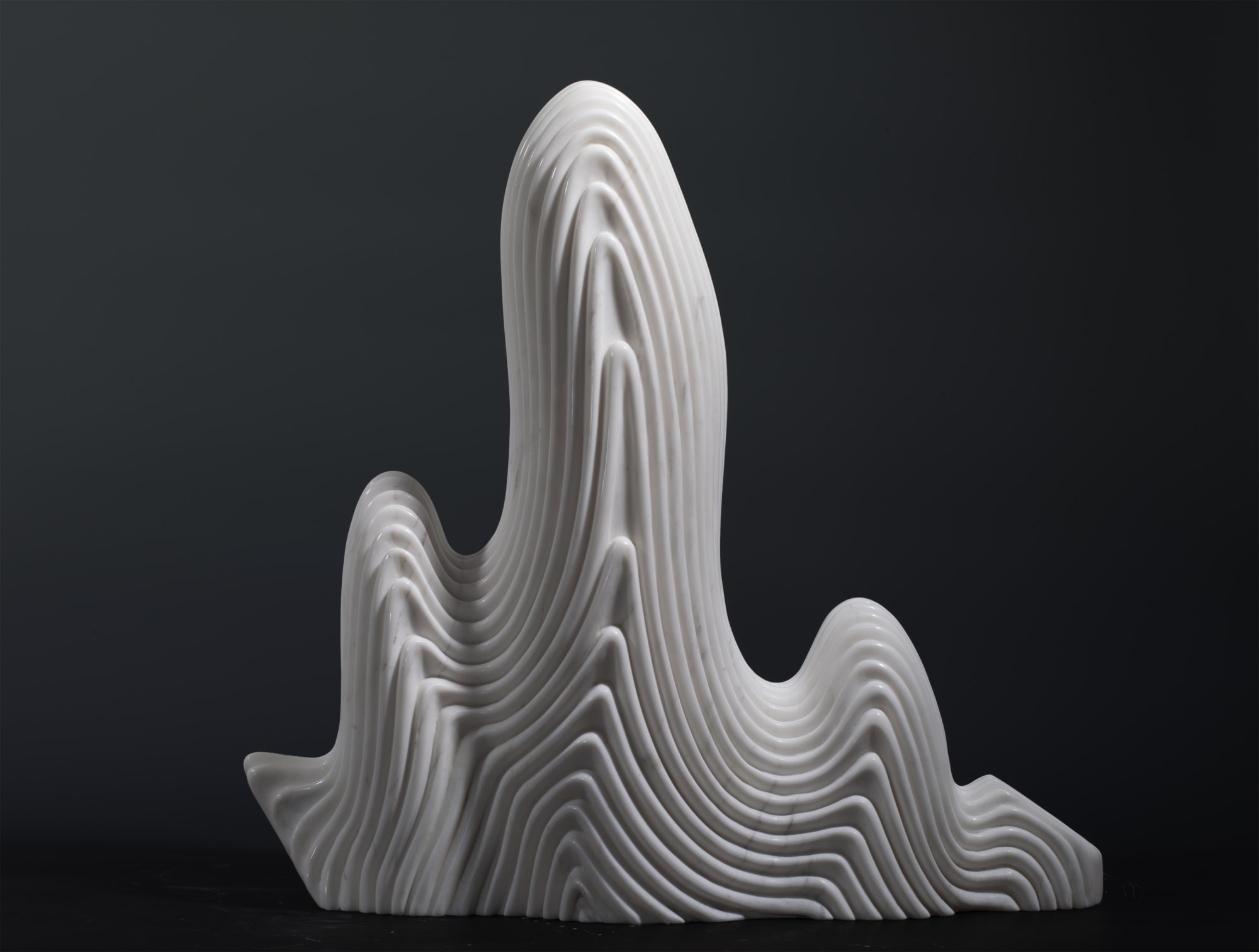 Huang Zhiyang 黄致阳, Posessing Numerous Peaks S-1221 座千峰 S-1221, 2012