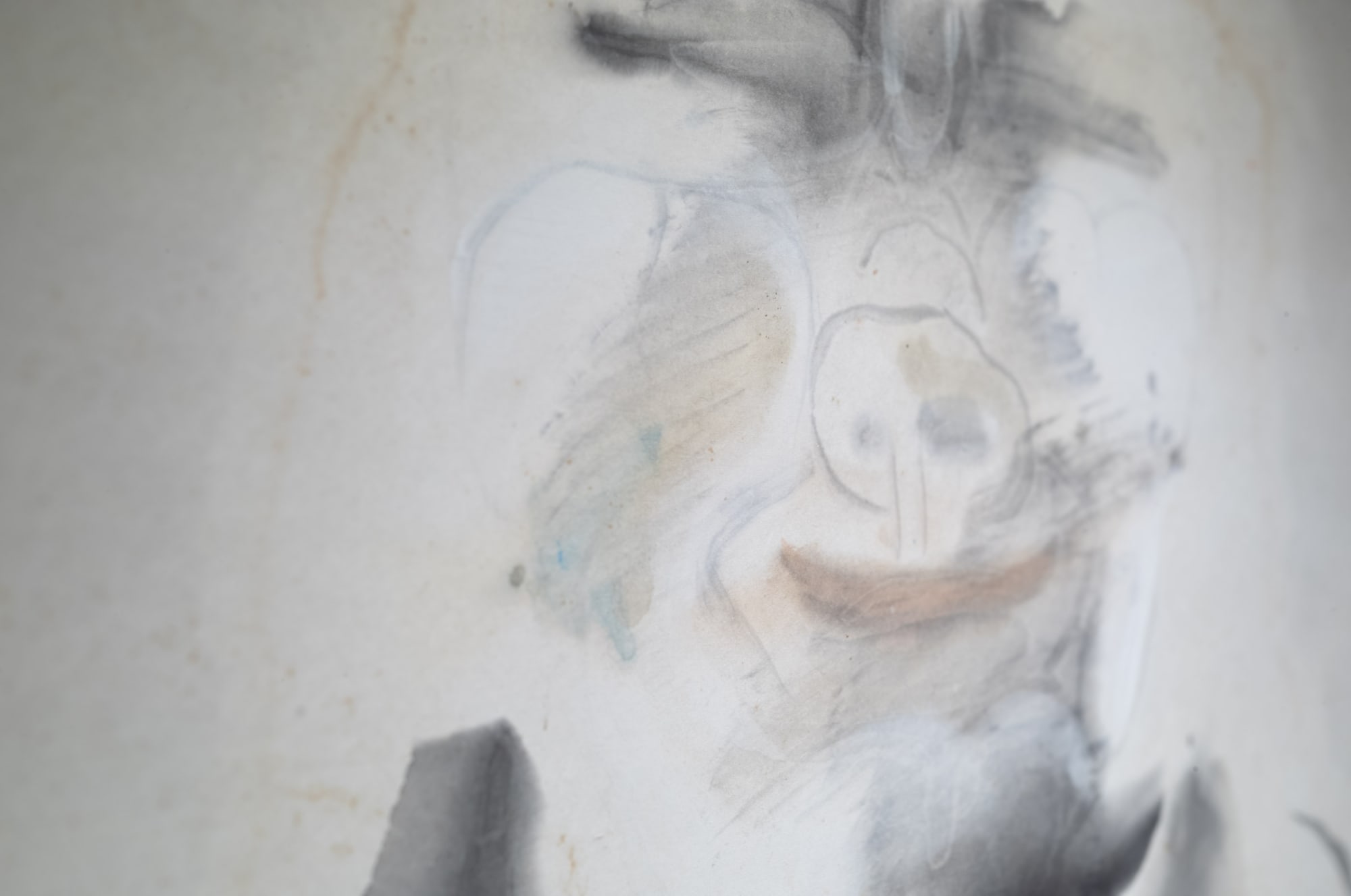 Flesh and Bone 骨与肉