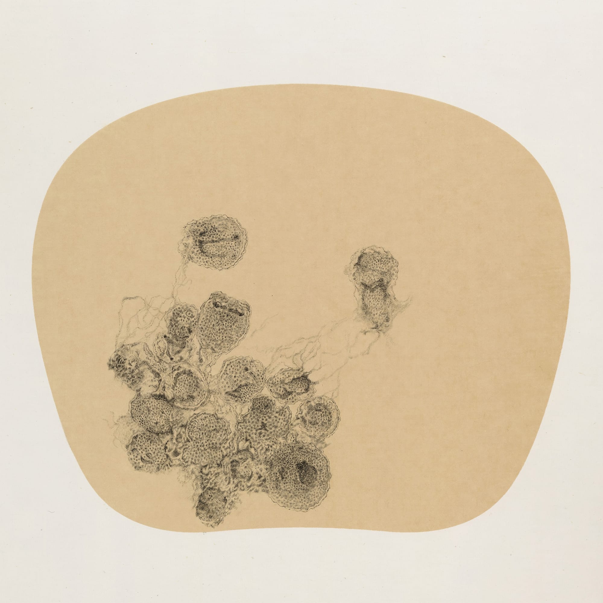 Bingyi 冰逸, Fairies 百妖图, 2012-2015