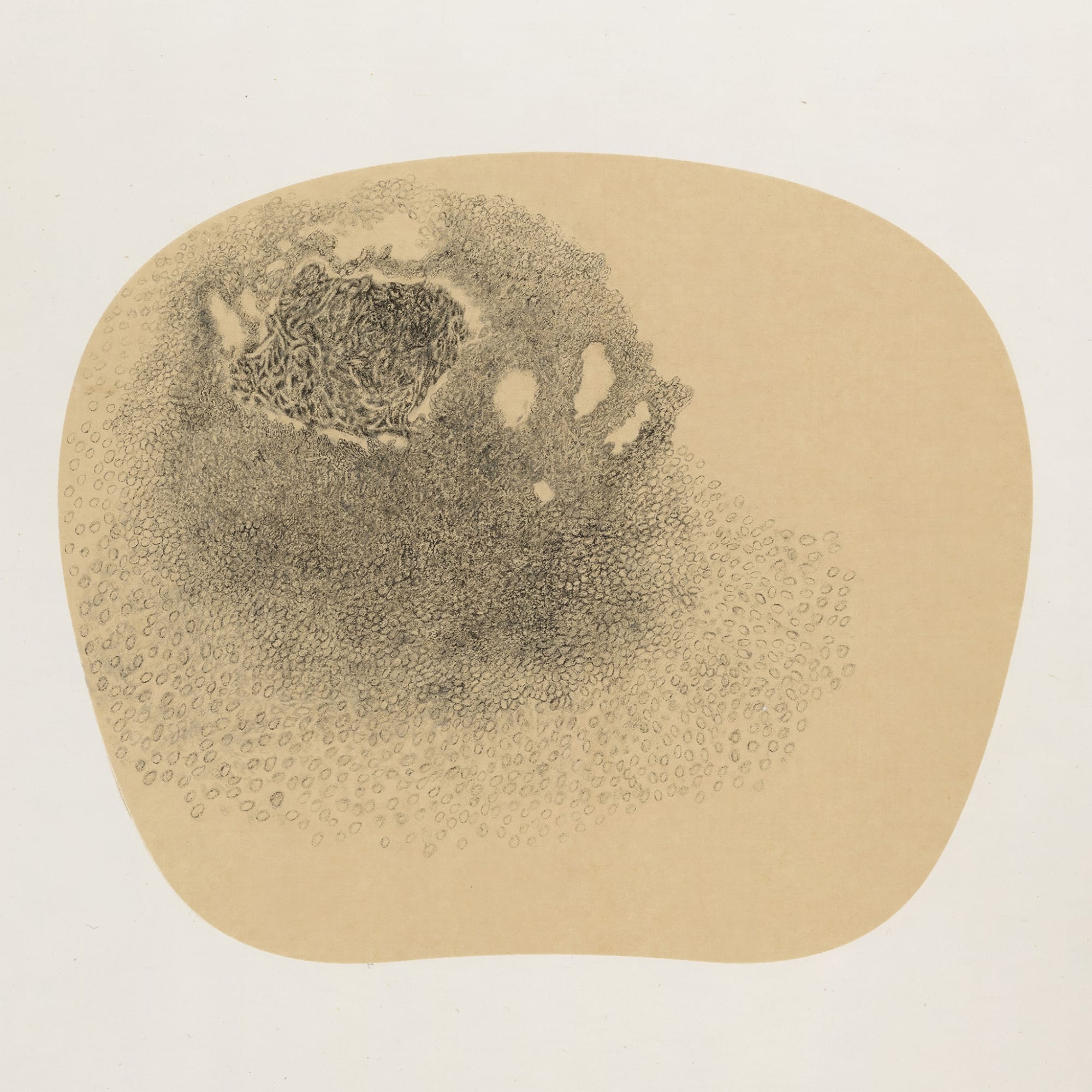 Bingyi 冰逸, Fairies 百妖图, 2012-2015