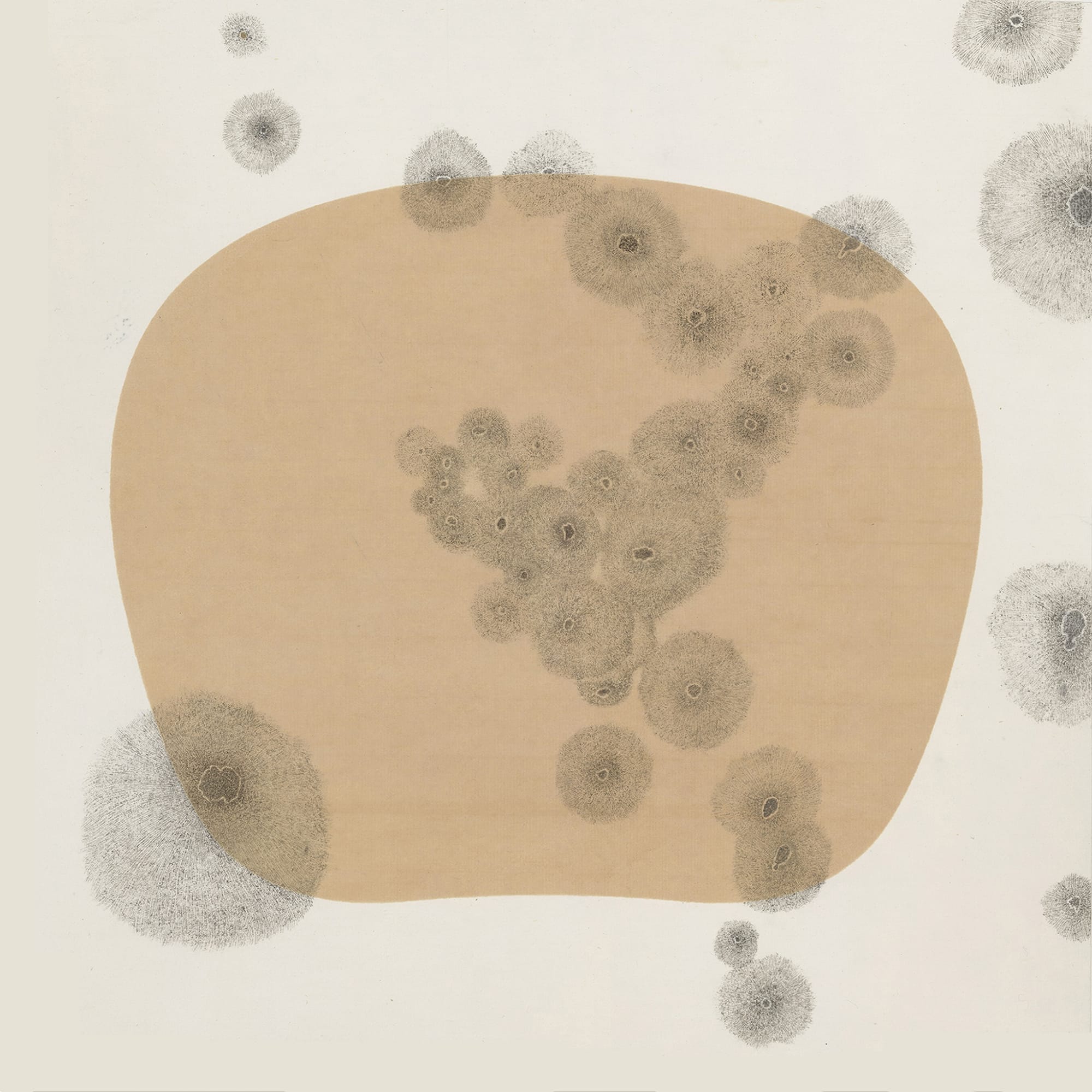 Bingyi 冰逸, Fairies 百妖图, 2012-2015