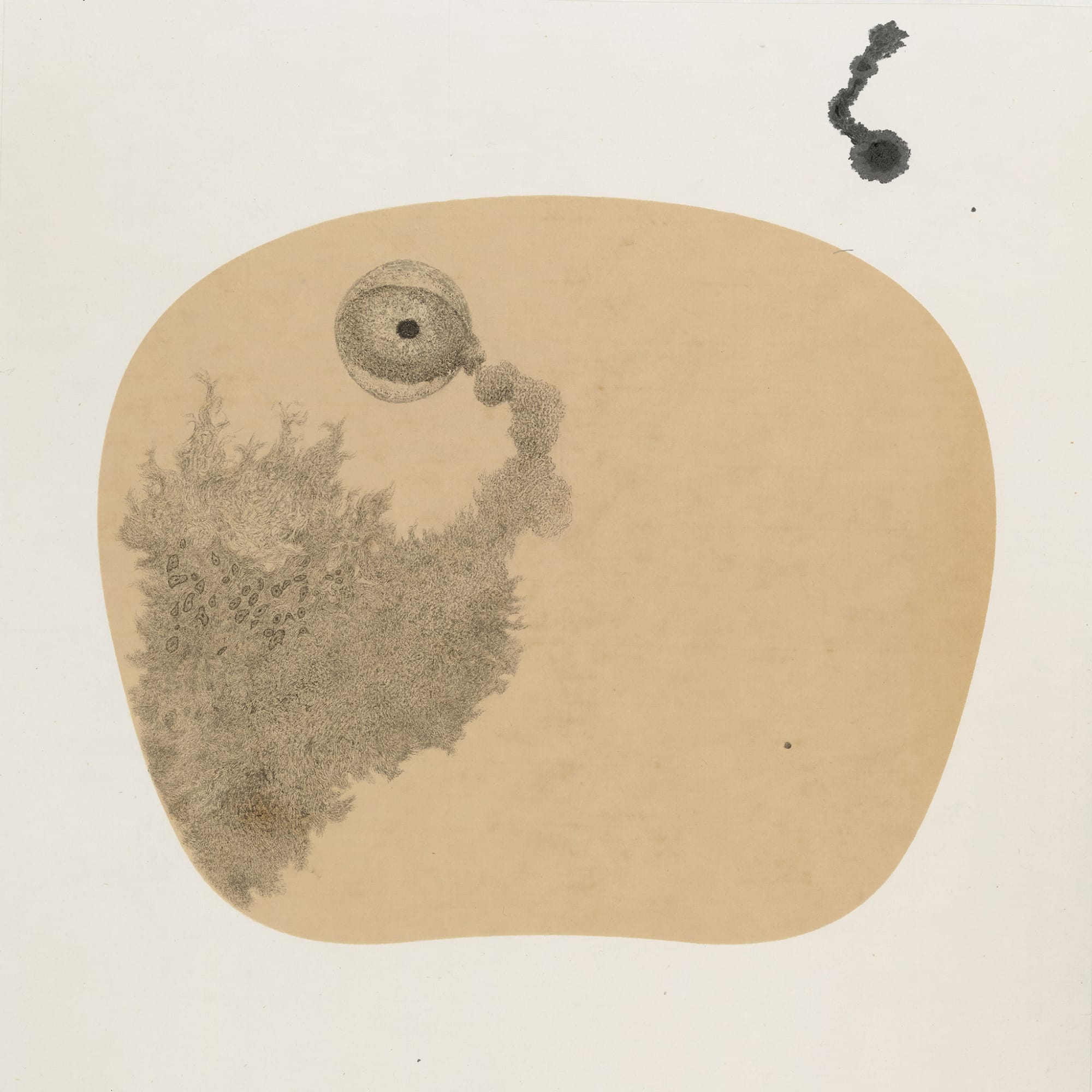 Bingyi 冰逸, Fairies 百妖图, 2012-2015