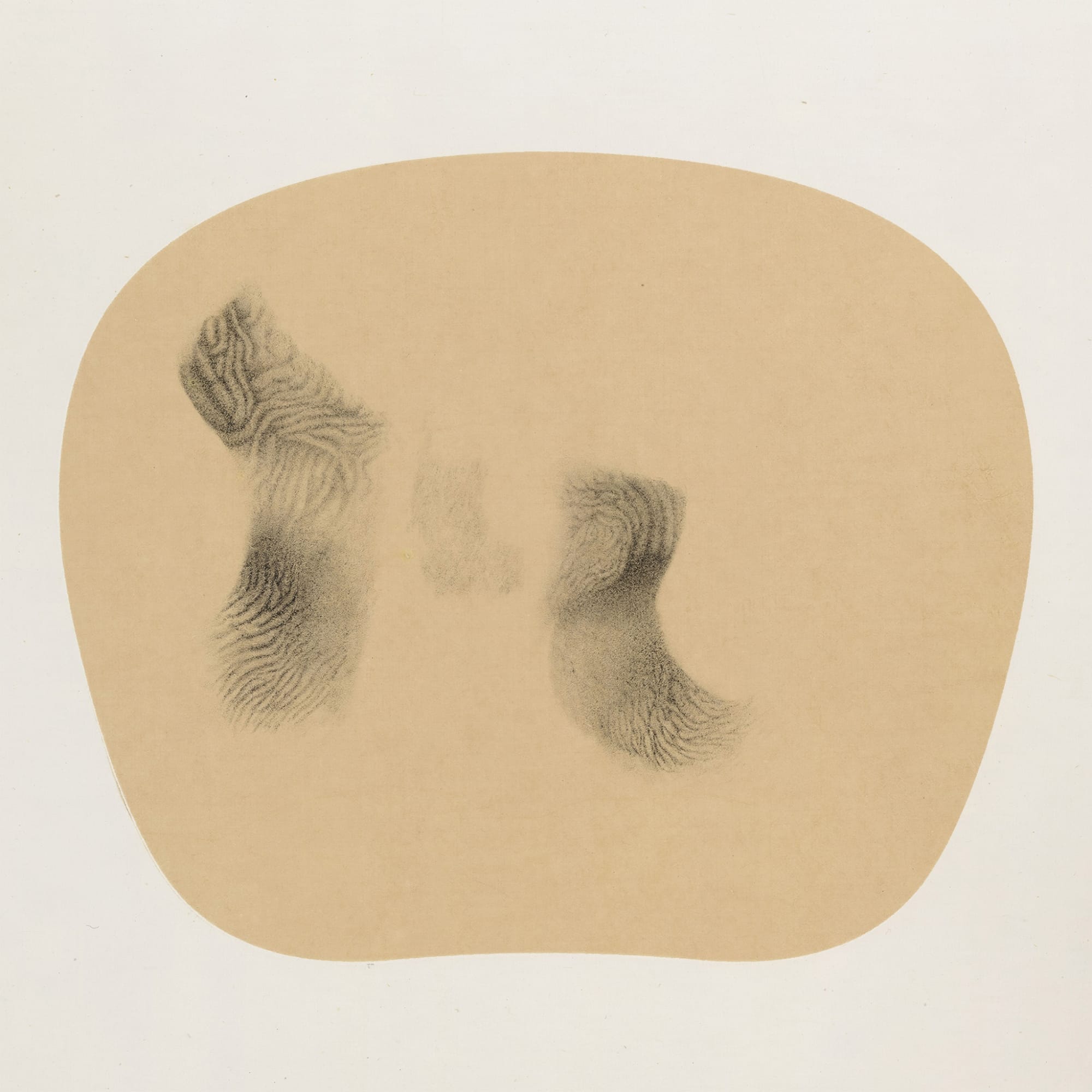 Bingyi 冰逸, Fairies 百妖图, 2012-2015