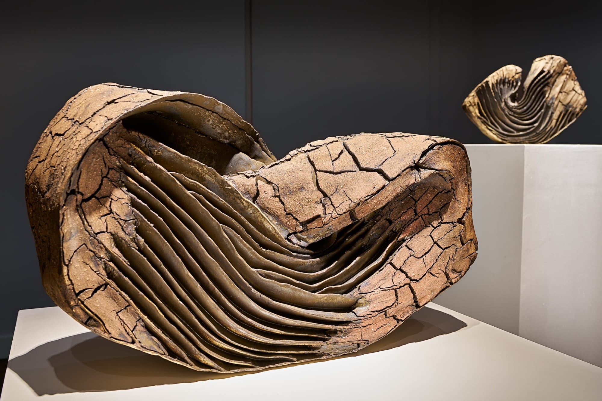 Courtesy of Douglas Dubler