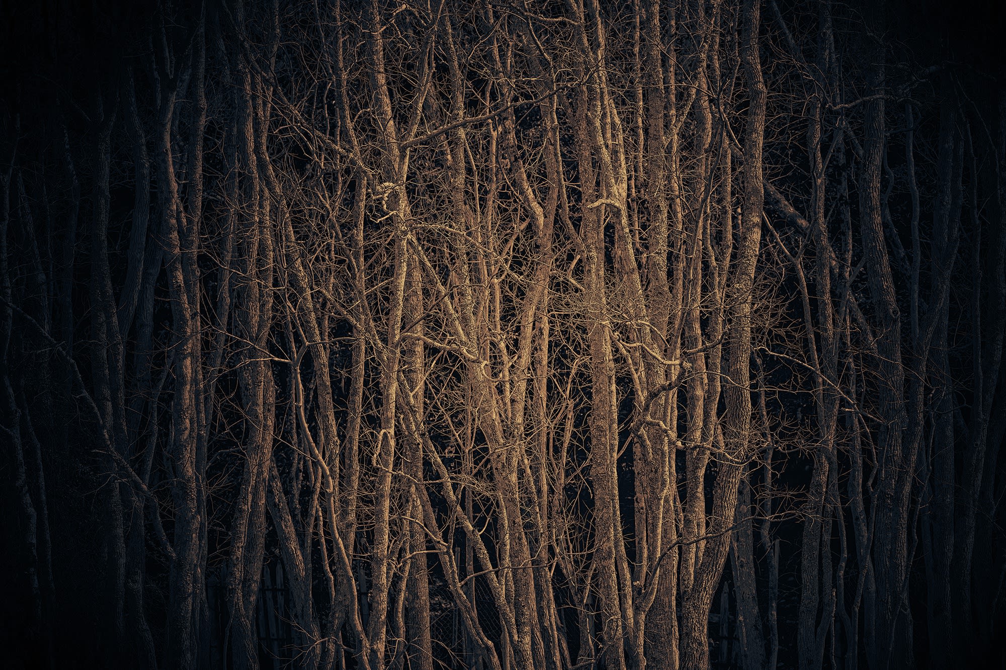 HIGHLIGHTS International Art Fair Munich 2021