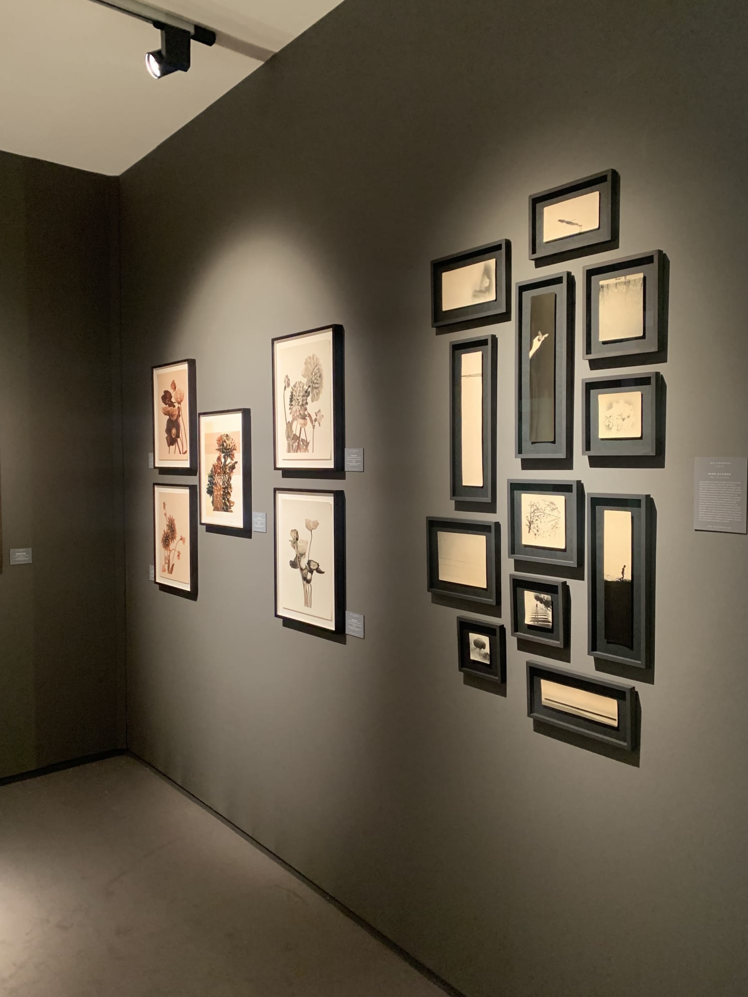 HIGHLIGHTS International Art Fair Munich 2021