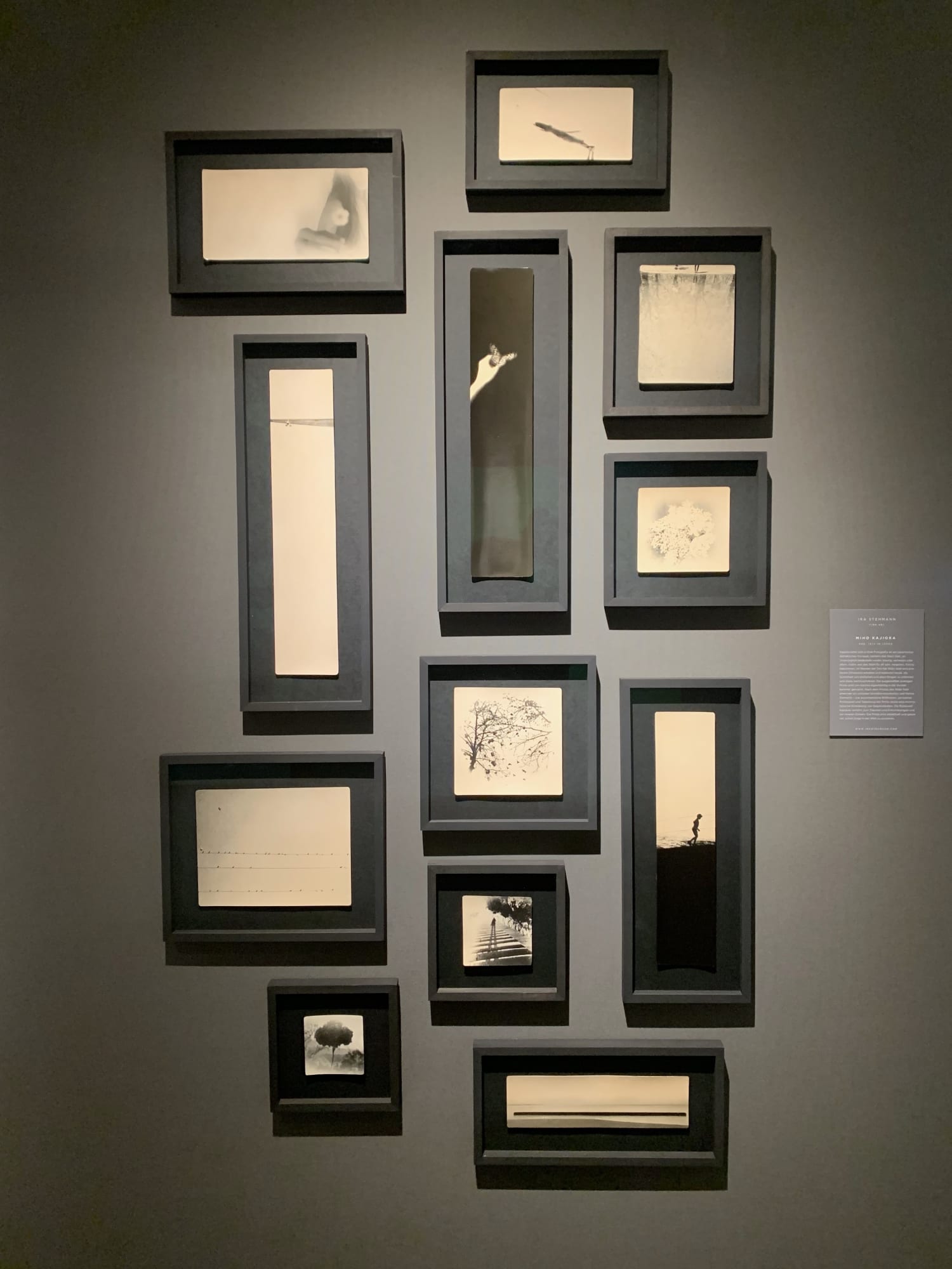 HIGHLIGHTS International Art Fair Munich 2021