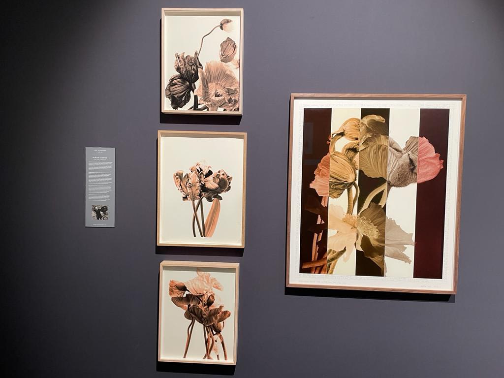 HIGHLIGHTS International Art Fair Munich 2023