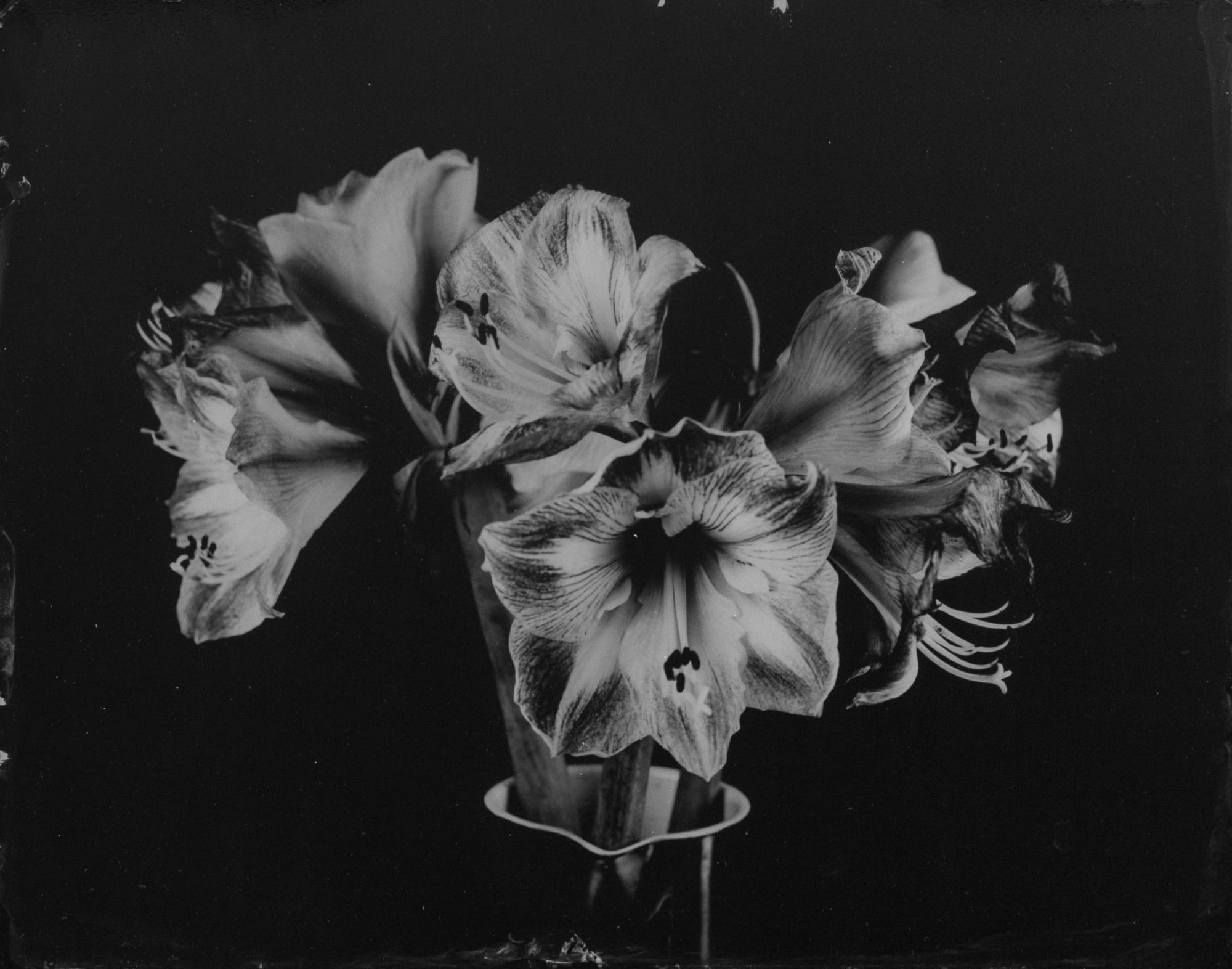 HIGHLIGHTS International Art Fair Munich 2023