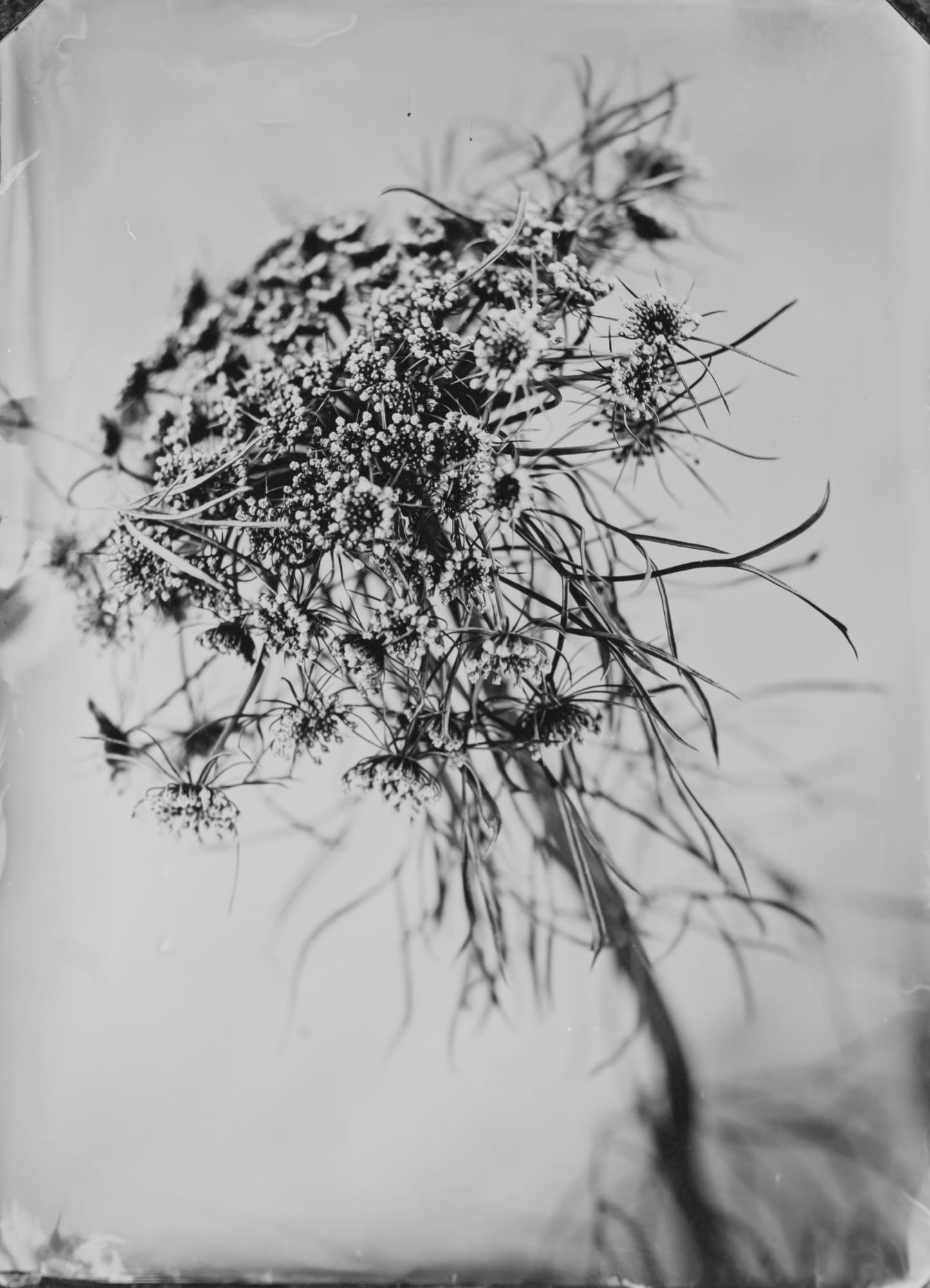 HIGHLIGHTS International Art Fair Munich 2024