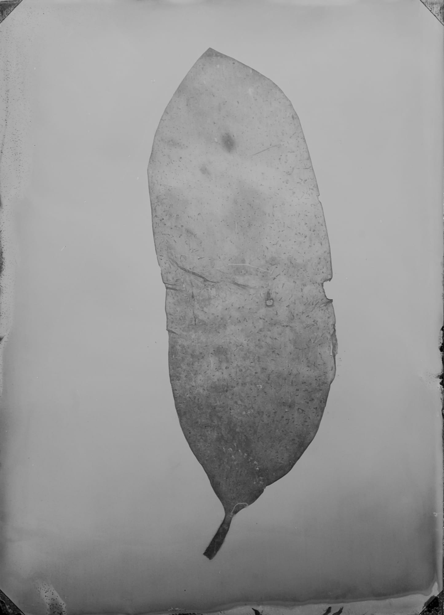 HIGHLIGHTS International Art Fair Munich 2024