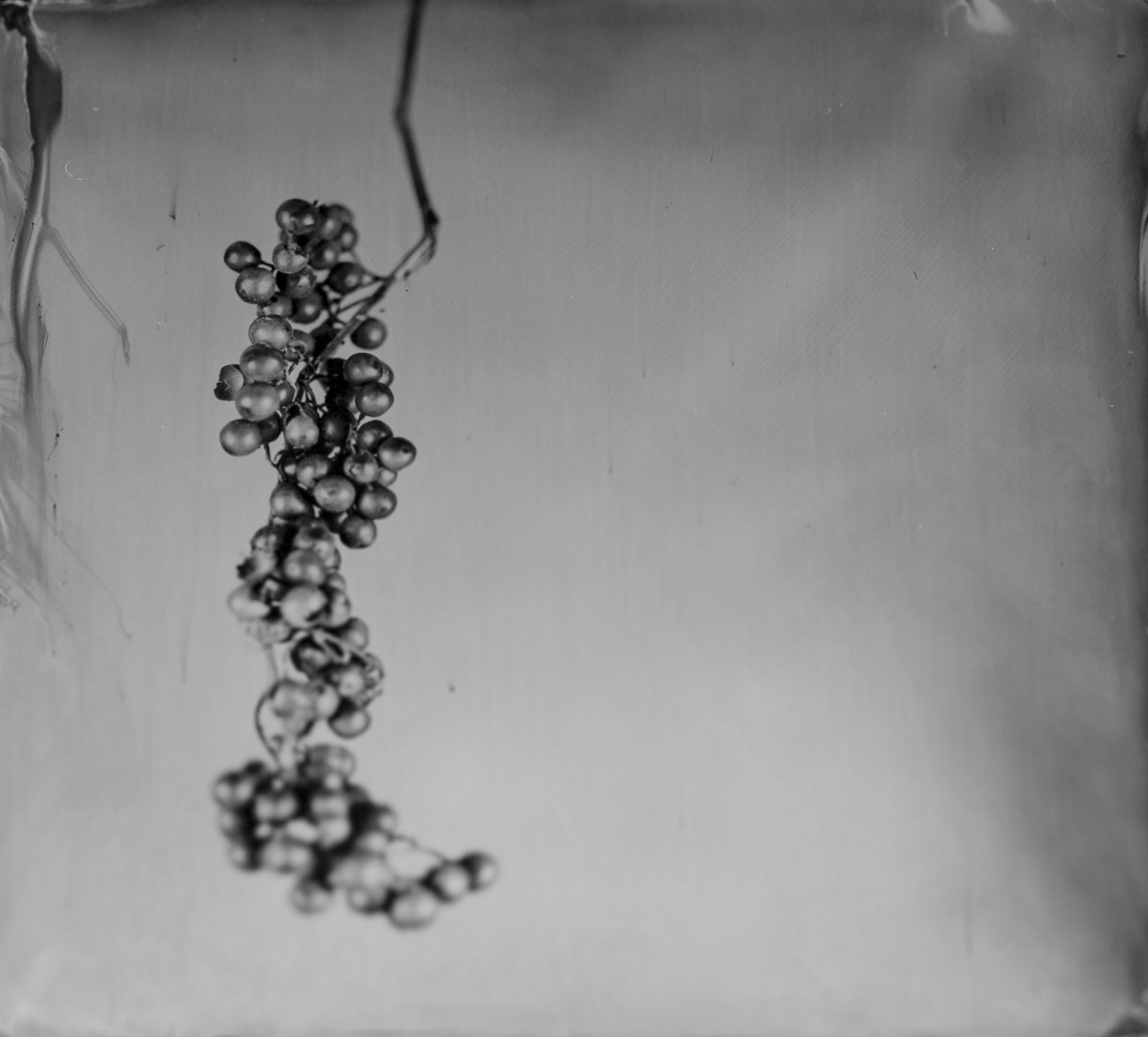 HIGHLIGHTS International Art Fair Munich 2024