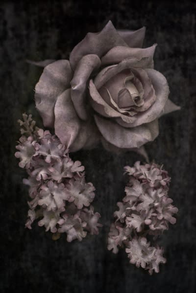 Traces of Transience: Fragility and Time