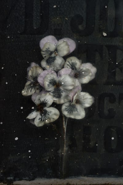 Traces of Transience: Fragility and Time