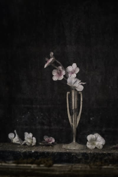 Traces of Transience: Fragility and Time