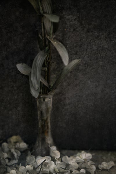 Traces of Transience: Fragility and Time