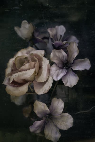 Traces of Transience: Fragility and Time