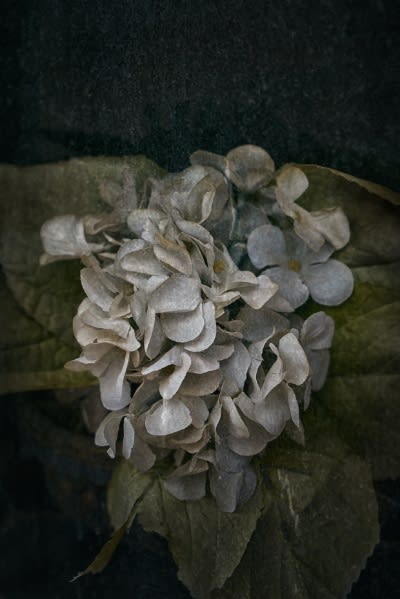 Traces of Transience: Fragility and Time