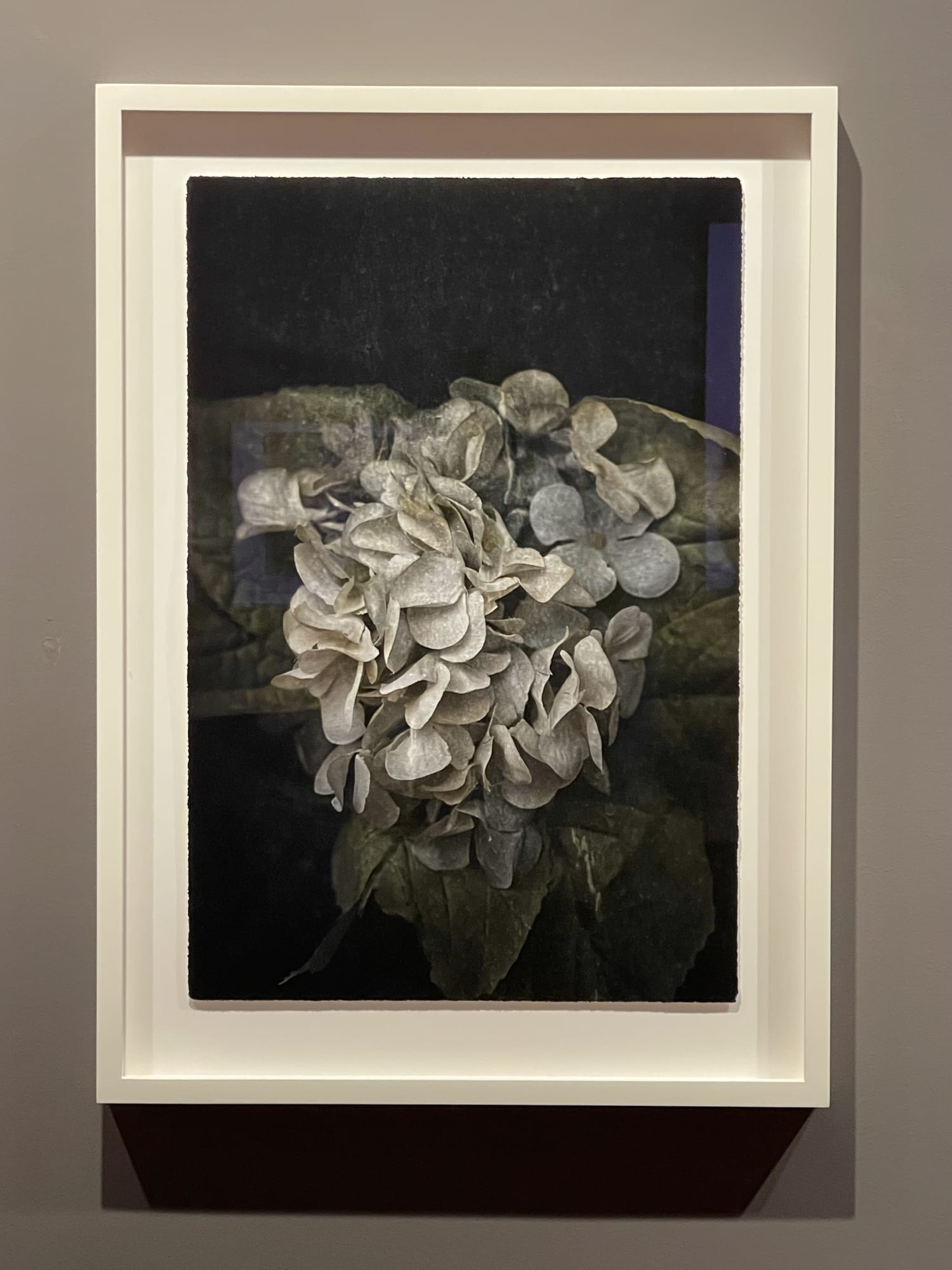 Traces of Transience: Fragility and Time