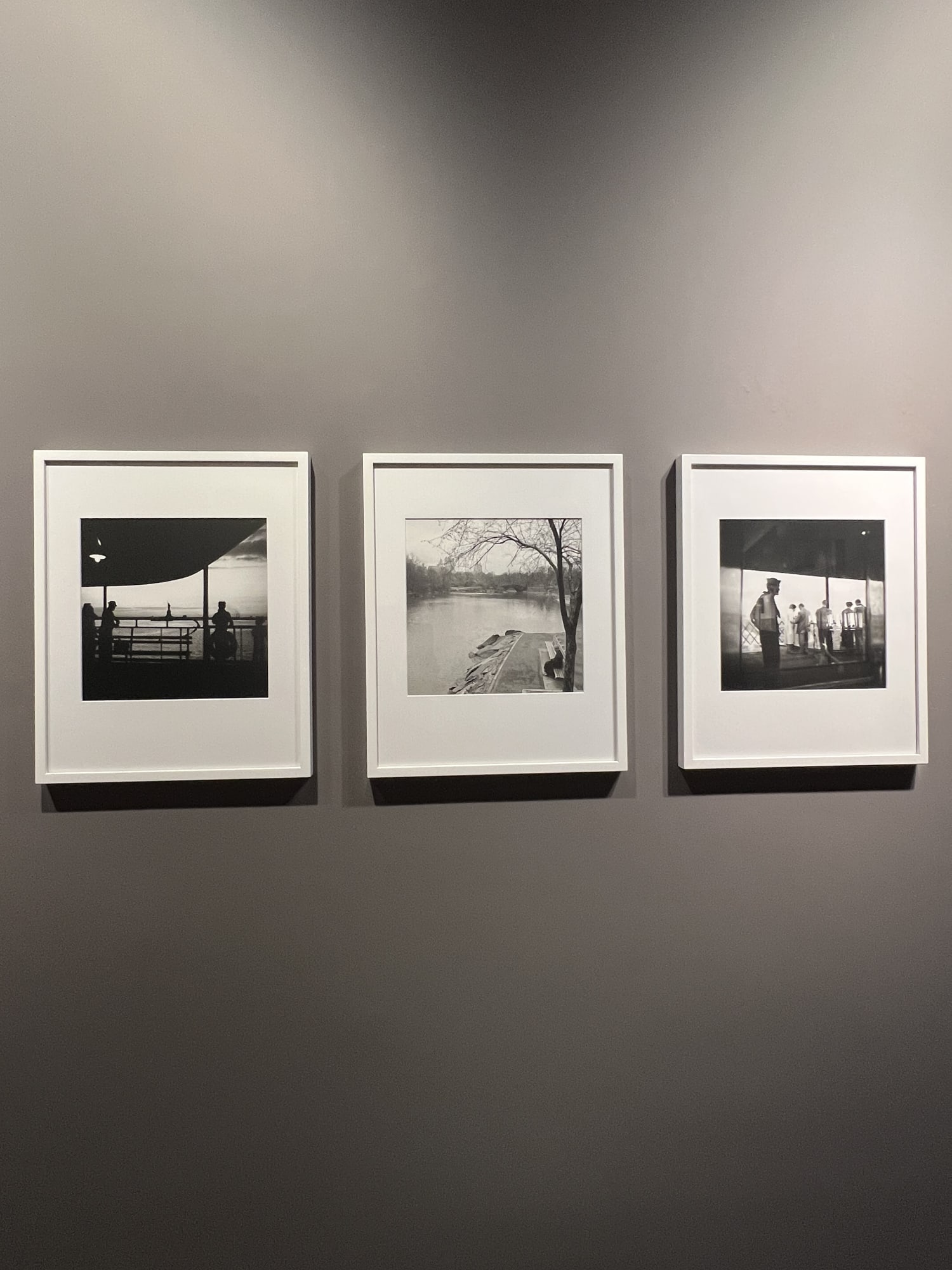 Myth in the Shadows. The Eye of Vivian Maier