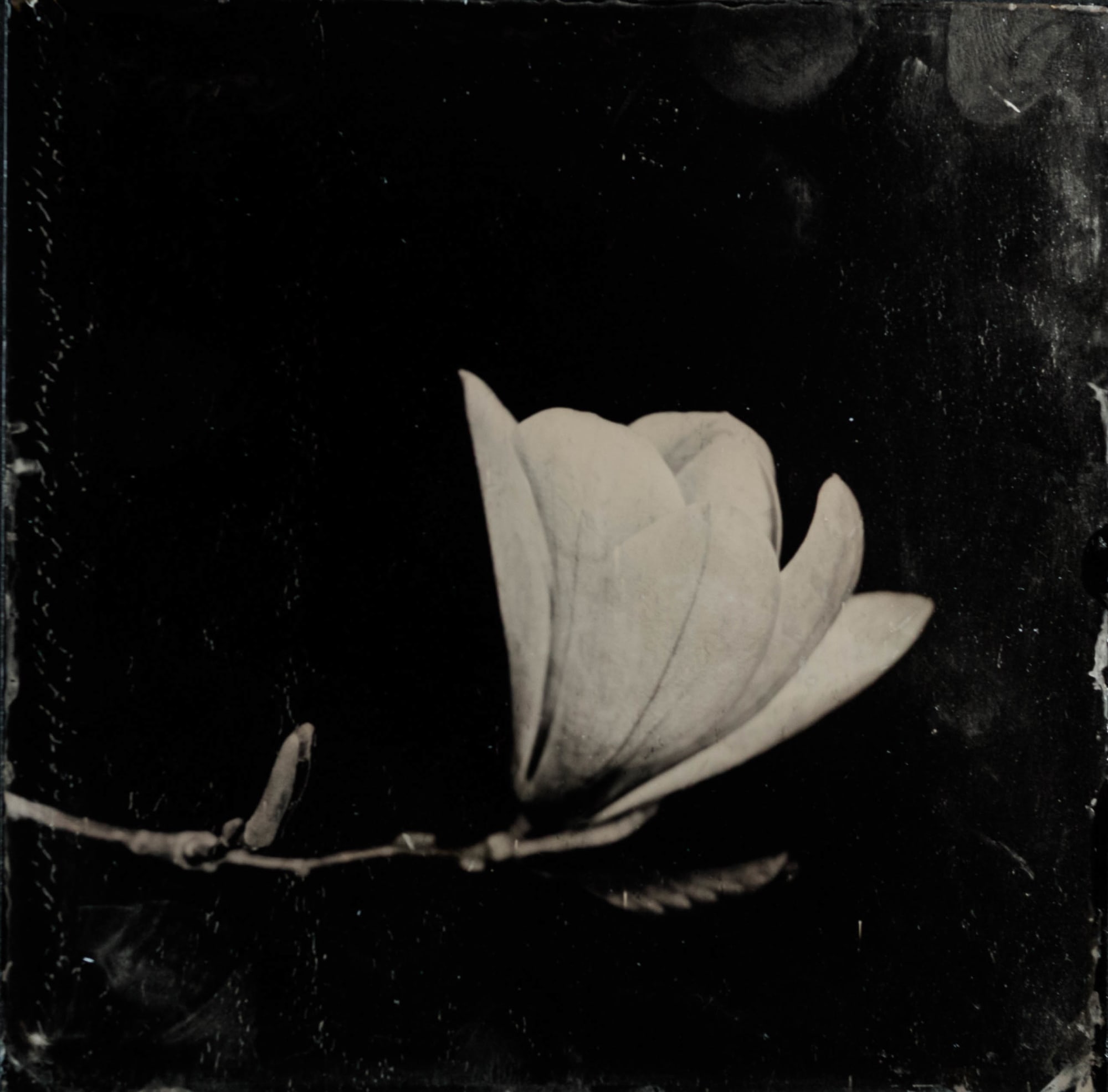 HIGHLIGHTS International Art Fair Munich 2025