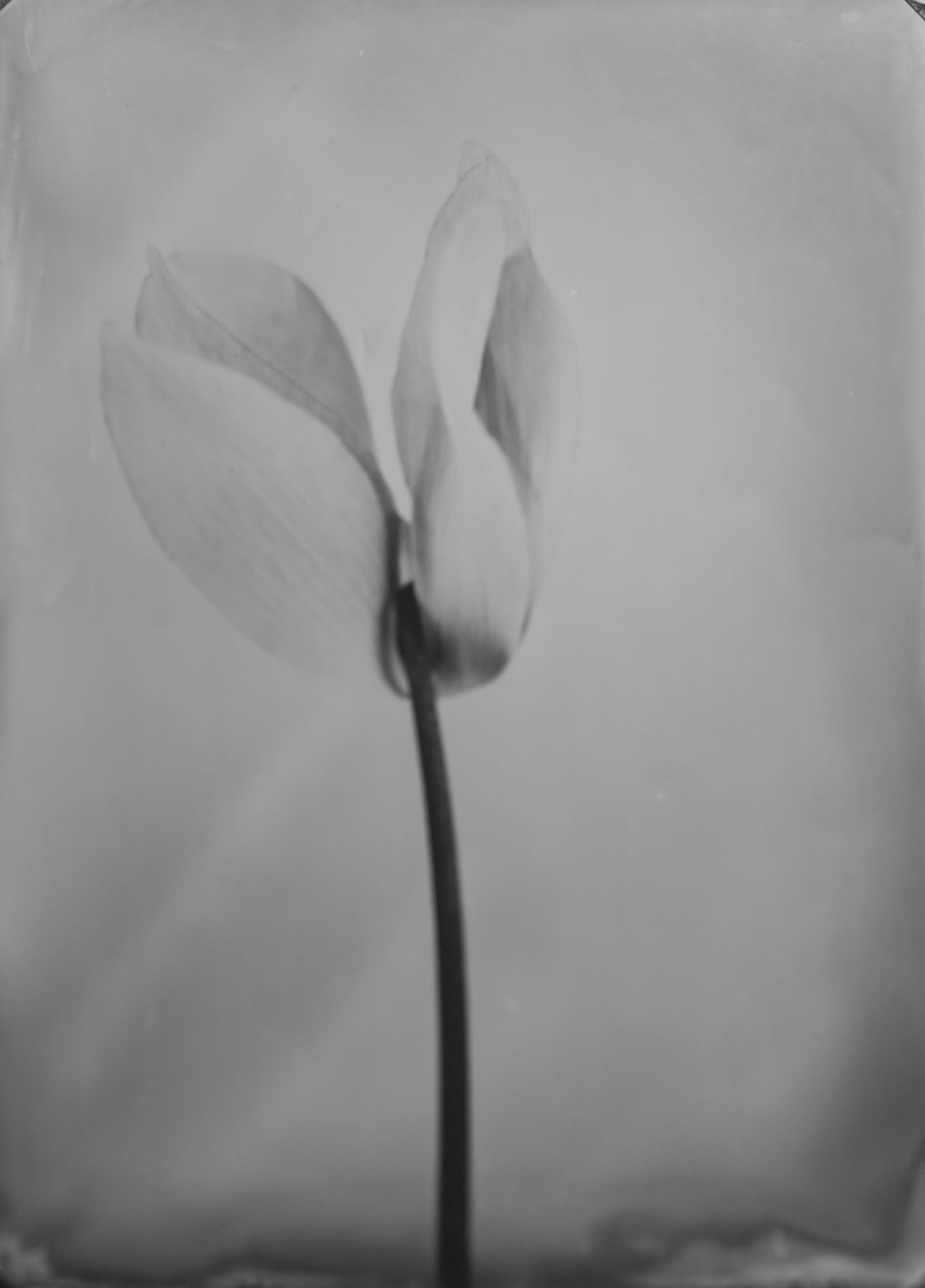 HIGHLIGHTS International Art Fair Munich 2025