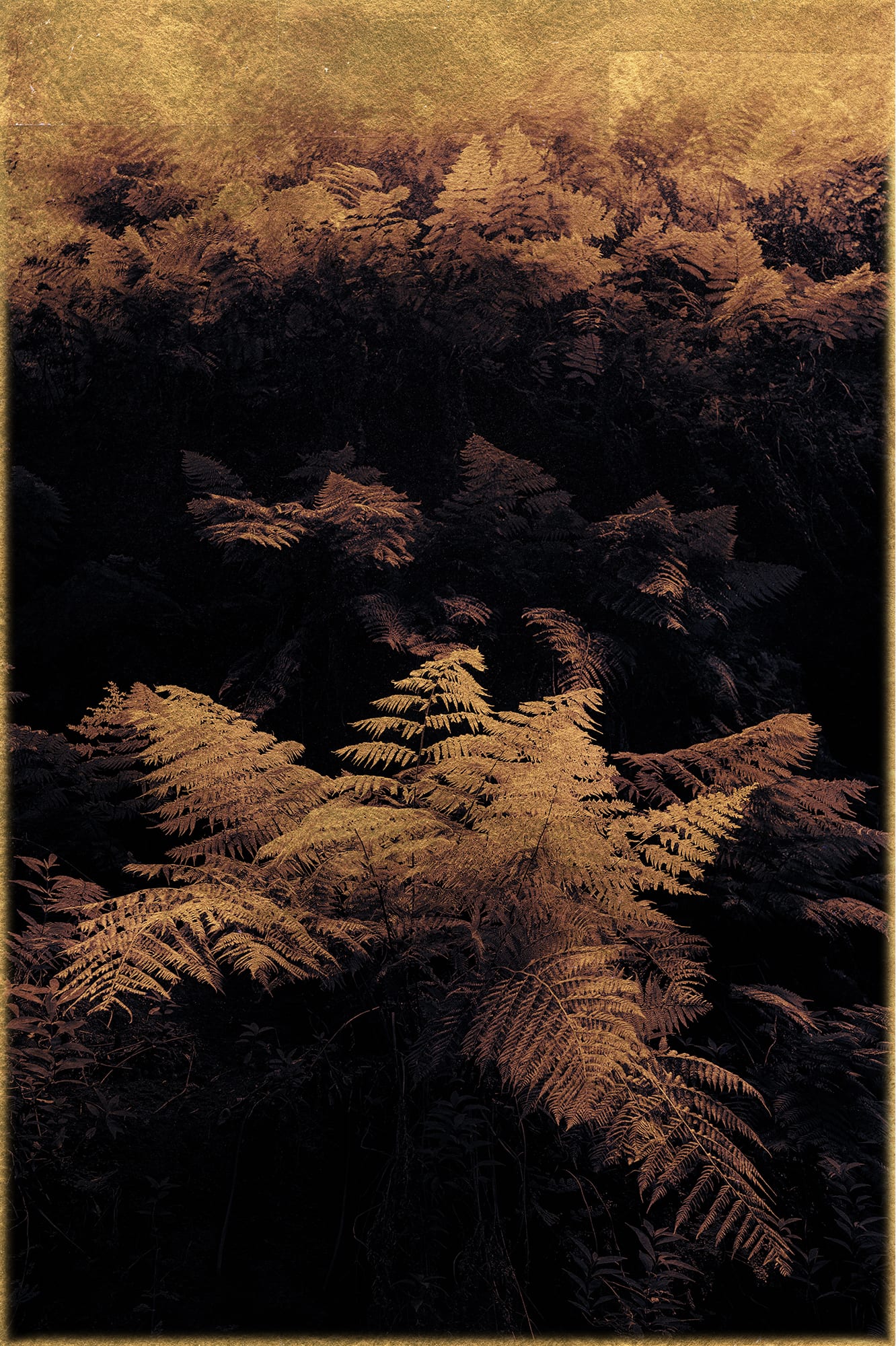 HIGHLIGHTS International Art Fair Munich 2025